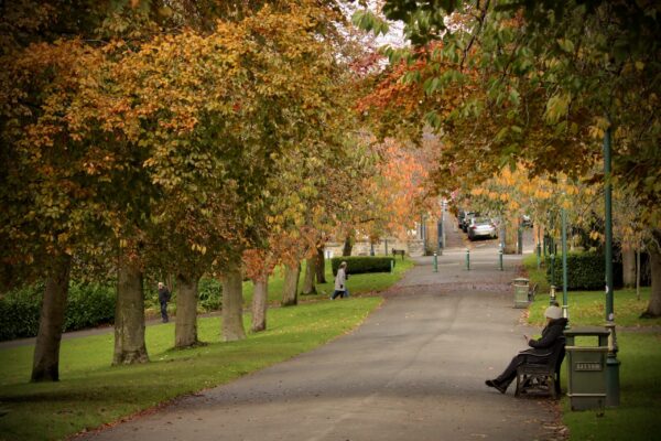 pittencrieff-park-in-autumn_53307384221_o