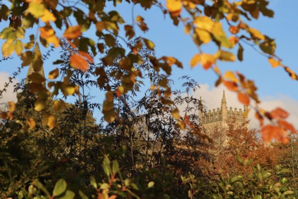 pittencrieff-park-in-autumn_53307631253_o