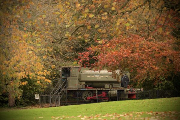 pittencrieff-park-in-autumn_53307744324_o